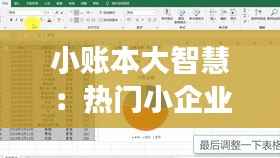 小账本大智慧：热门小企业会计准则的创意解读