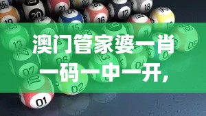 澳门管家婆一肖一码一中一开,权威解答解释定义_6DM141.603-1