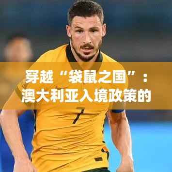 走马章台 第5页