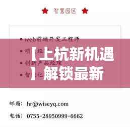 合作流程 第281页