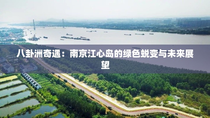 八卦洲奇遇：南京江心岛的绿色蜕变与未来展望