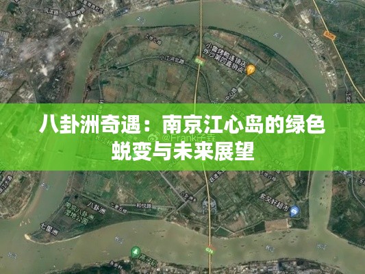 八卦洲奇遇:南京江心岛的绿色蜕变与未来展望