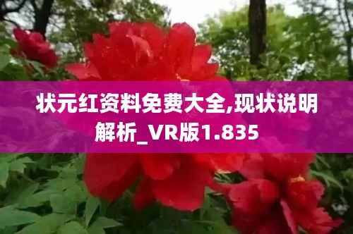 状元红资料免费大全,现状说明解析_VR版1.835