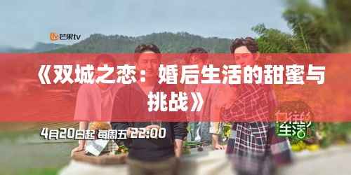 《双城之恋:婚后生活的甜蜜与挑战》
