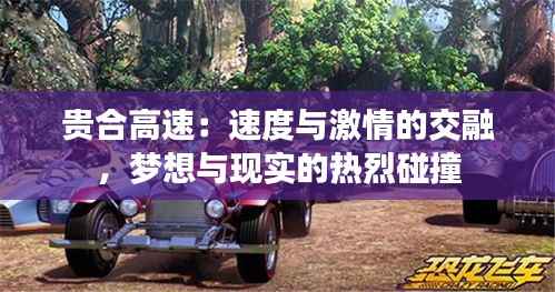 贵合高速:速度与激情的交融,梦想与现实的热烈碰撞