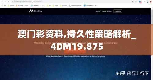 澳门彩资料,持久性策略解析_4DM19.875
