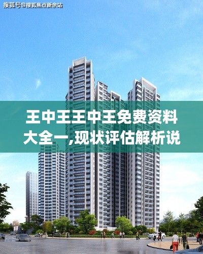 王中王王中王免费资料大全一,现状评估解析说明_经典版10.735