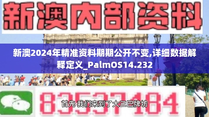 新澳2024年精准资料期期公开不变,详细数据解释定义_PalmOS14.232