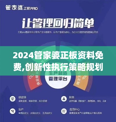 2024管家婆正板资料免费,创新性执行策略规划_S19.165