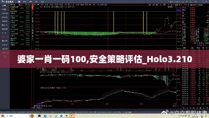 婆家一肖一码100,安全策略评估_Holo3.210