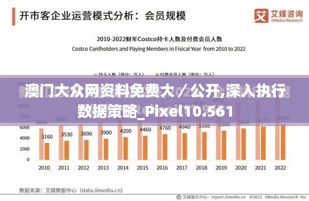 澳门大众网资料免费大／公开,深入执行数据策略_Pixel10.561