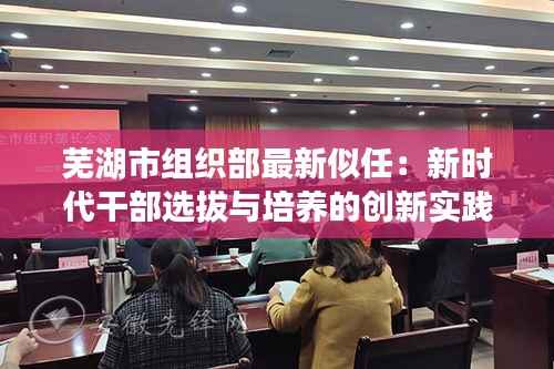 芜湖市组织部最新似任:新时代干部选拔与培养的创新实践
