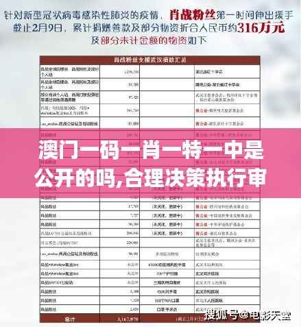 澳门一码一肖一特一中是公开的吗,合理决策执行审查_娱乐版6.299