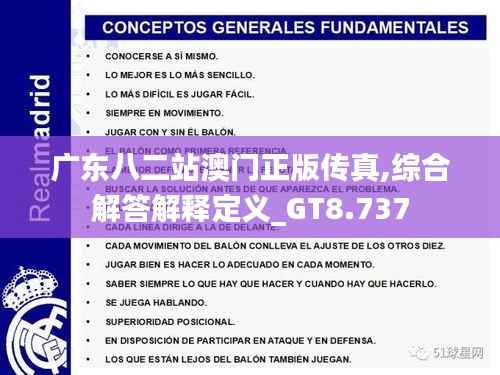 广东八二站澳门正版传真,综合解答解释定义_GT8.737