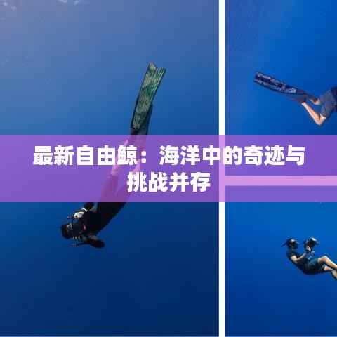 最新自由鲸：海洋中的奇迹与挑战并存