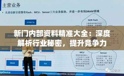 新门内部资料精准大全：深度解析行业秘密，提升竞争力