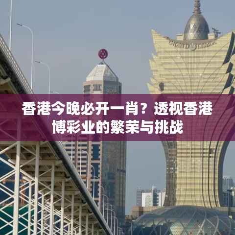 香港今晚必开一肖?透视香港博彩业的繁荣与挑战
