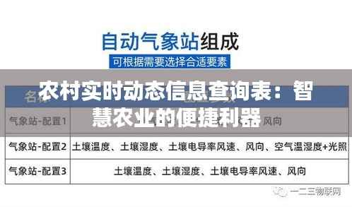 农村实时动态信息查询表：智慧农业的便捷利器