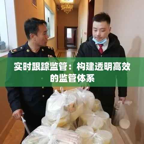 实时跟踪监管：构建透明高效的监管体系
