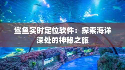 日就月将 第3页