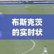 布斯克茨的实时状态:足球场上的智慧之眼