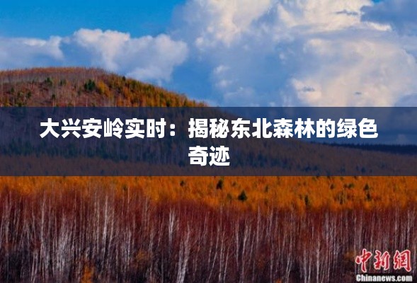 六鹢退飞 第4页