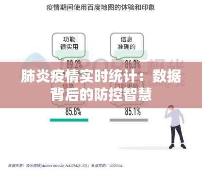 肺炎疫情实时统计：数据背后的防控智慧