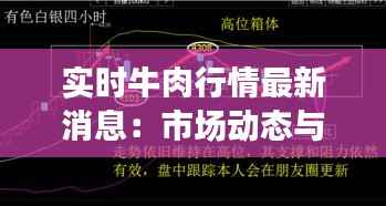实时牛肉行情最新消息：市场动态与趋势分析