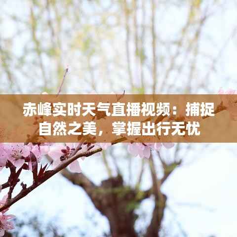 行将就木 第4页