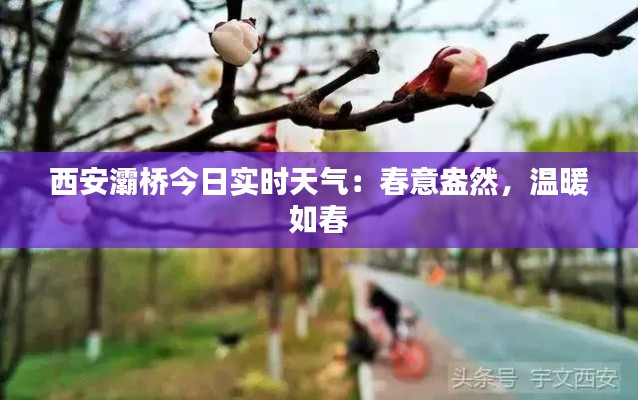 西安灞桥今日实时天气:春意盎然,温暖如春