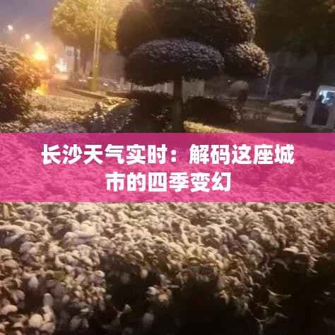 长沙天气实时：解码这座城市的四季变幻