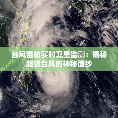 台风苗柏实时卫星监测：揭秘超级台风的神秘面纱