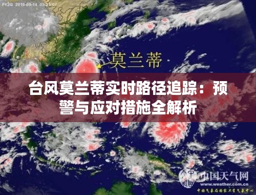 台风莫兰蒂实时路径追踪：预警与应对措施全解析
