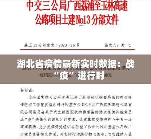 湖北省疫情最新实时数据：战“疫”进行时