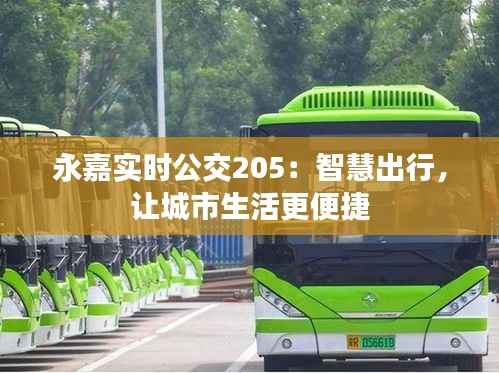 永嘉实时公交205：智慧出行，让城市生活更便捷
