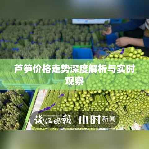 芦笋价格走势深度解析与实时观察
