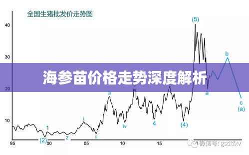 海参苗价格走势深度解析
