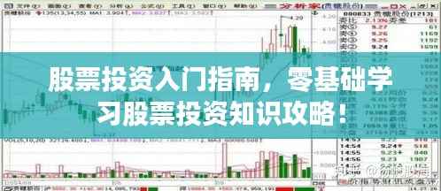 股票投资入门指南,零基础学习股票投资知识攻略!