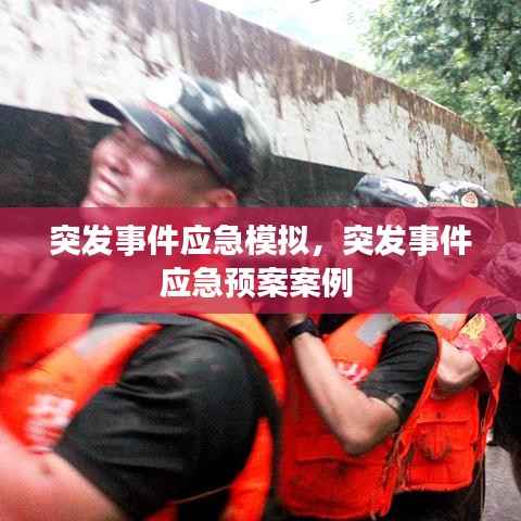 突发事件应急模拟，突发事件应急预案案例 