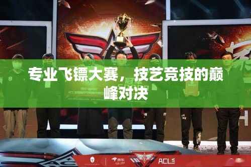 专业飞镖大赛，技艺竞技的巅峰对决