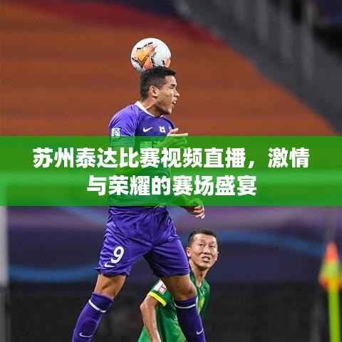 苏州泰达比赛视频直播,激情与荣耀的赛场盛宴