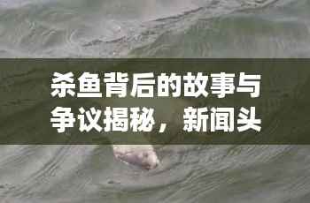 杀鱼背后的故事与争议揭秘,新闻头条引人关注
