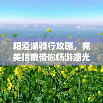 阳澄湖骑行攻略，完美指南带你畅游湖光山色之间