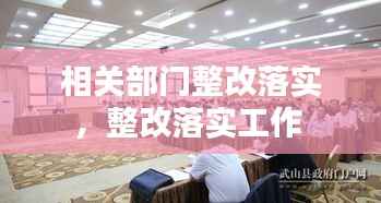 相关部门整改落实，整改落实工作 