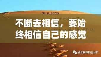 不断去相信,要始终相信自己的感觉