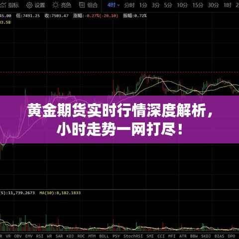 黄金期货实时行情深度解析,小时走势一网打尽!