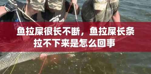 鱼拉屎很长不断，鱼拉屎长条拉不下来是怎么回事 