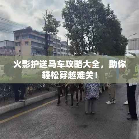 火影护送马车攻略大全,助你轻松穿越难关!