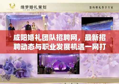 南辕北辙 第3页