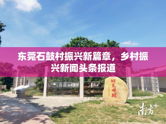 东莞石鼓村振兴新篇章，乡村振兴新闻头条报道